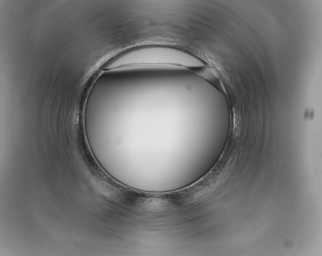 X0000090610348200708141356