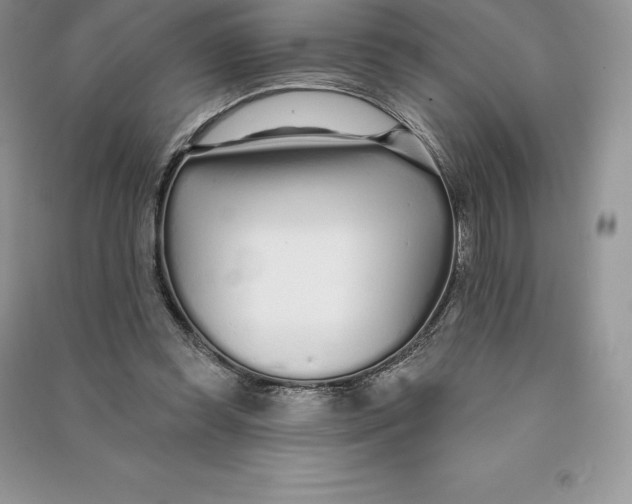 X0000090610349200708141356