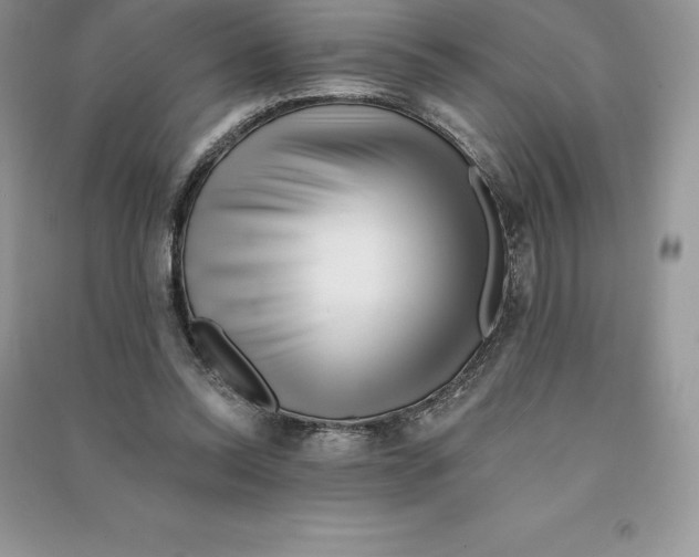 X0000090610350200708141356