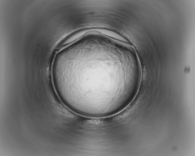 X0000090610351200708141356