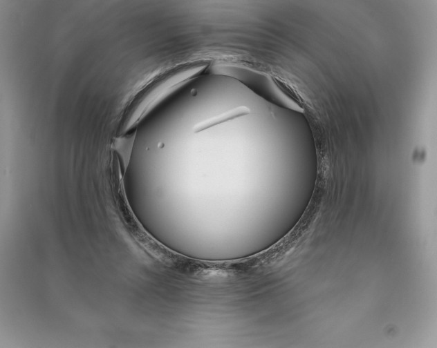 X0000090610352200708141356