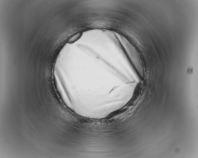 X0000090610353200708141356