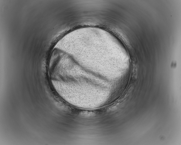 X0000090610354200708141356