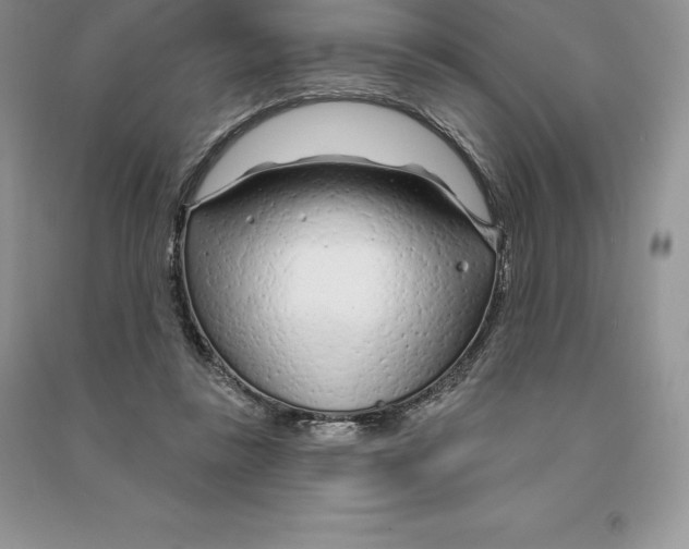 X0000090610355200708141356