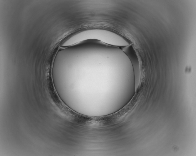 X0000090610356200708141356