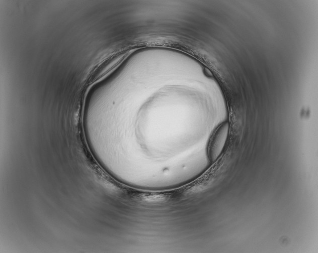 X0000090610357200708141356