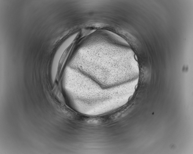 X0000090610358200708141356