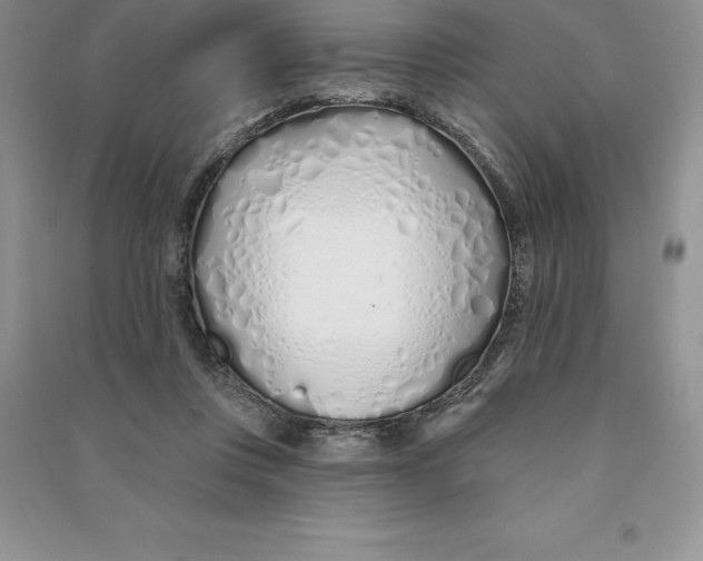 X0000090610359200708141356