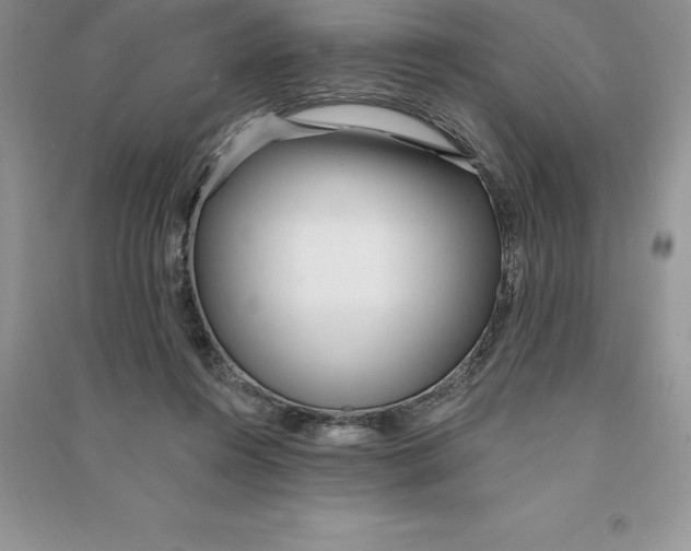 X0000090610360200708141356