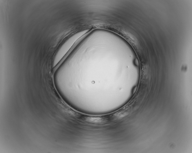 X0000090610361200708141356