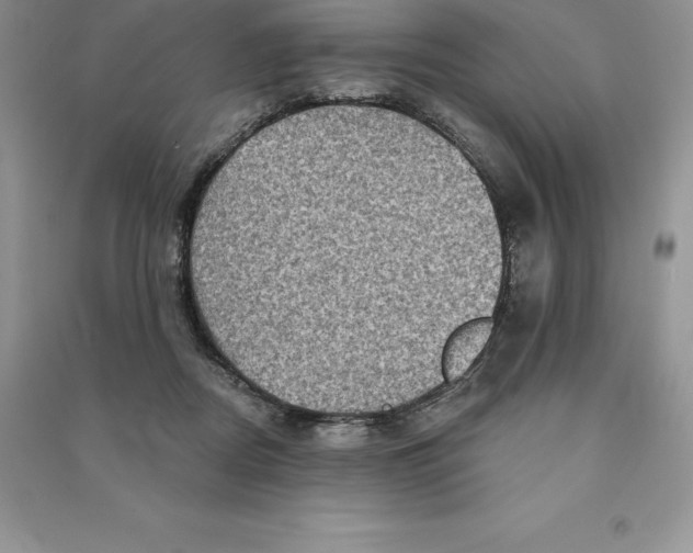 X0000090610362200708141356