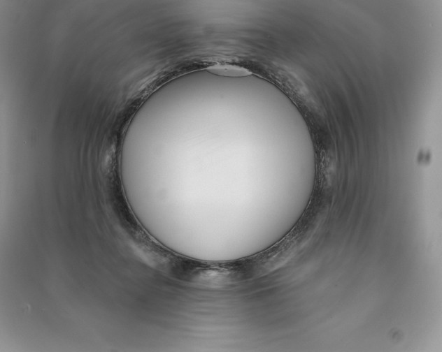 X0000090610364200708141356