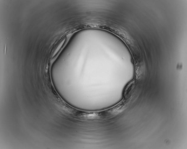 X0000090610365200708141356