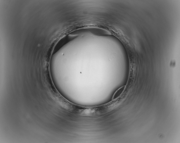 X0000090610366200708141356