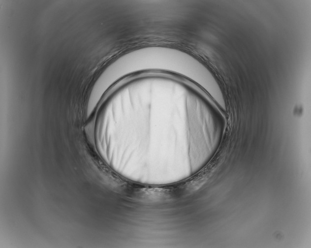 X0000090610367200708141356