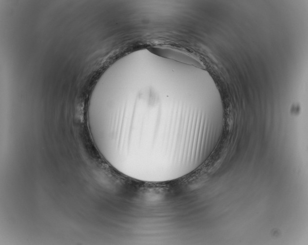 X0000090610368200708141356