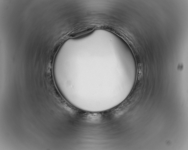 X0000090610369200708141356