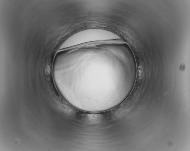 X0000090610371200708141356