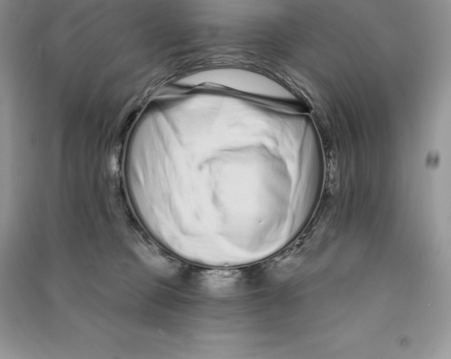 X0000090610373200708141356