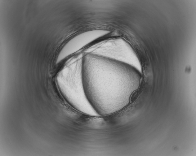 X0000090610374200708141356