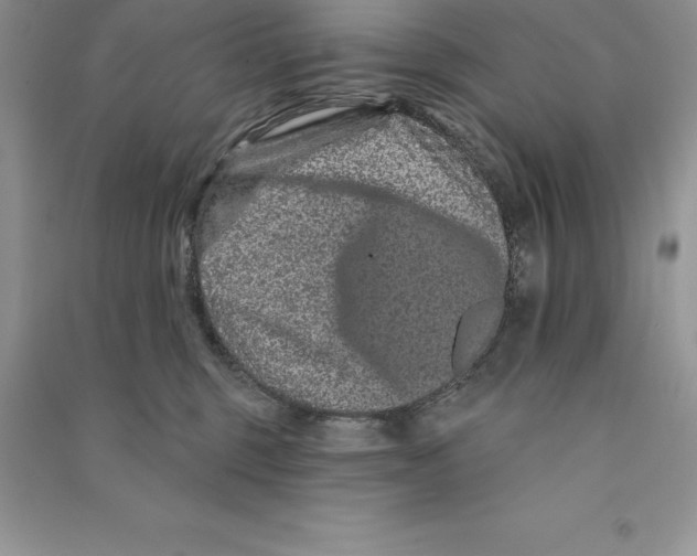 X0000090610375200708141356