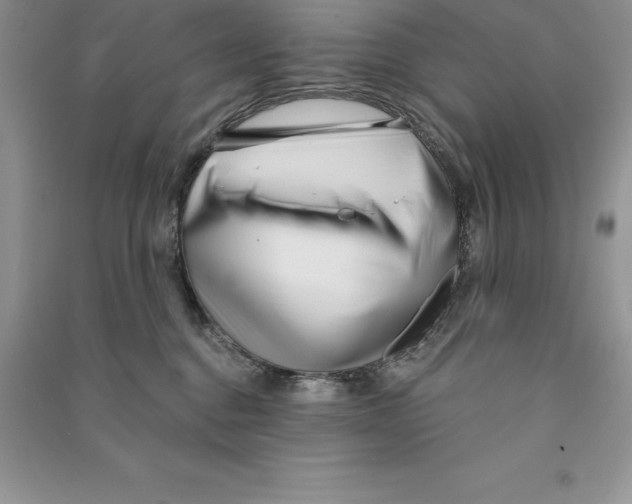 X0000090610376200708141356