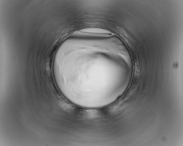 X0000090610377200708141356