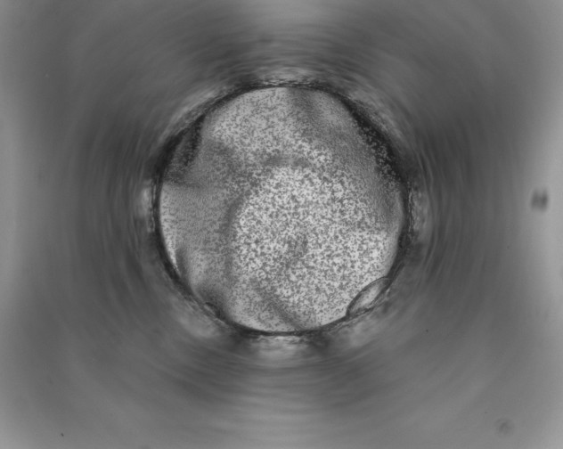 X0000090610378200708141356