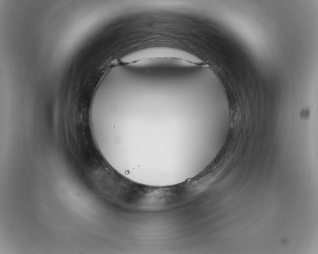 X0000090610382200708141356