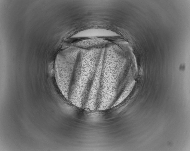 X0000090610383200708141356