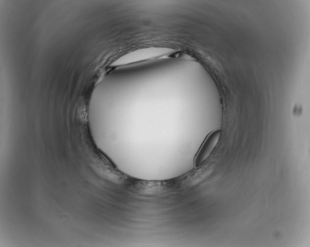 X0000090610384200708141356