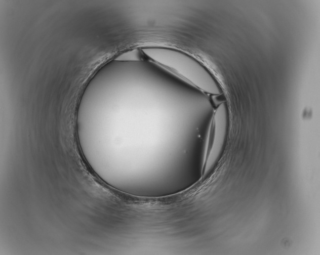 X0000090610385200708141356