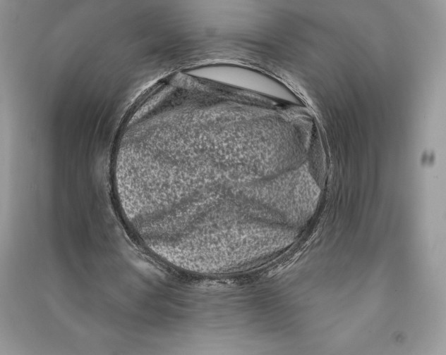 X0000090610386200708141356