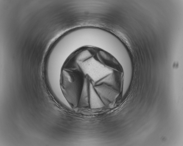 X0000090610388200708141356