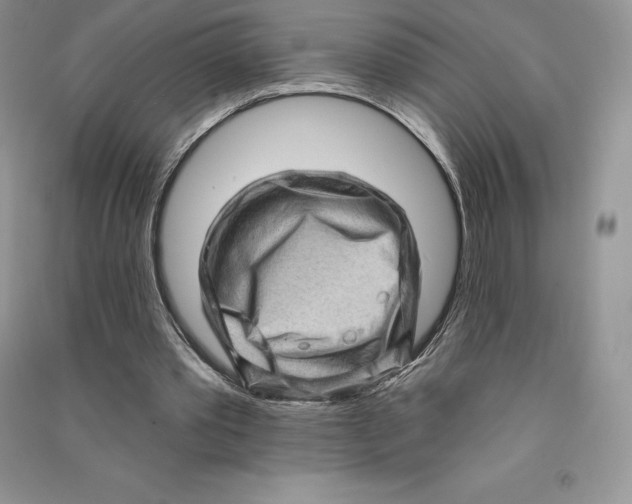 X0000090610389200708141356