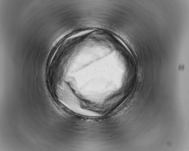 X0000090610390200708141356