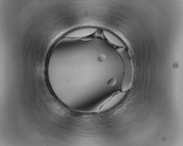 X0000090610391200708141356