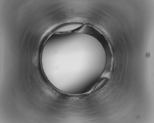 X0000090610392200708141356