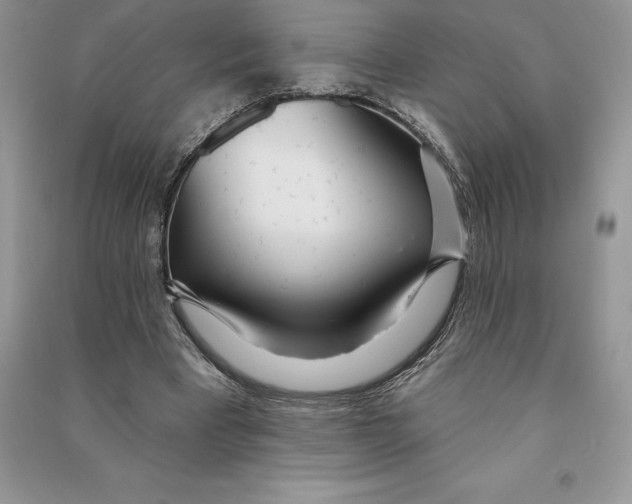 X0000090610393200708141356