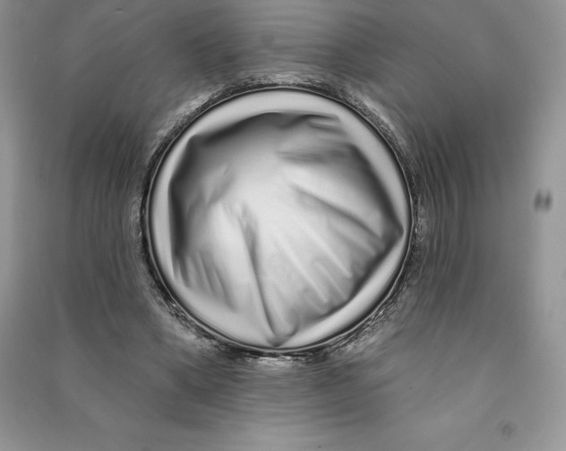 X0000090610394200708141356