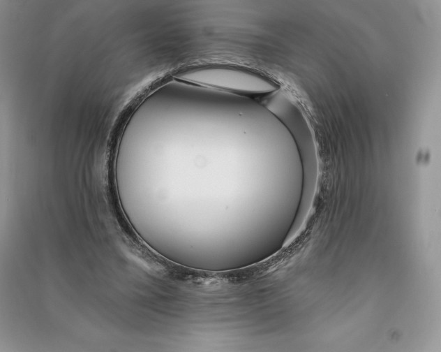 X0000090610395200708141355