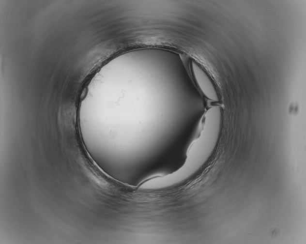 X0000090610397200708141355