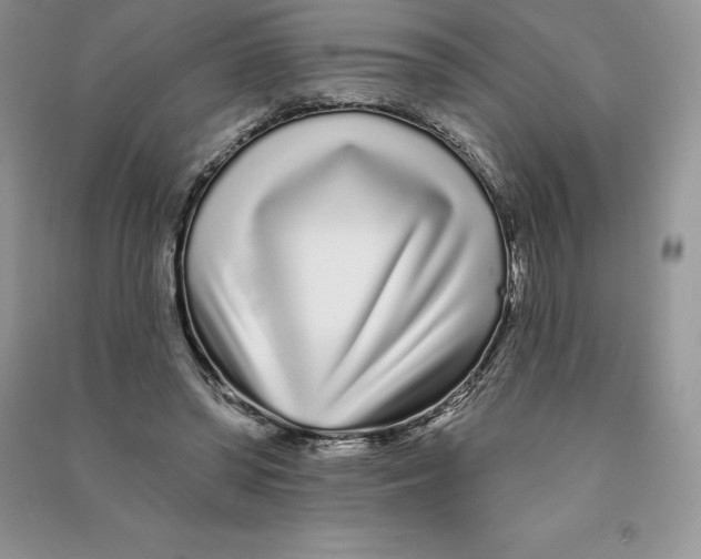 X0000090610398200708141355