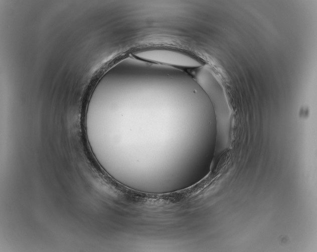 X0000090610399200708141355