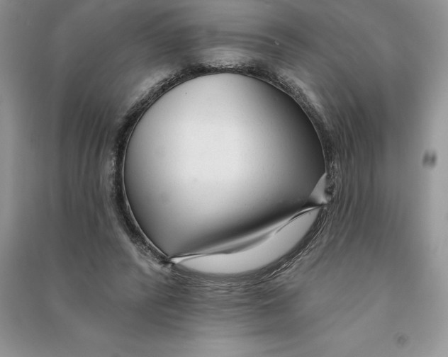 X0000090610400200708141355