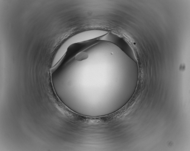 X0000090610401200708141355