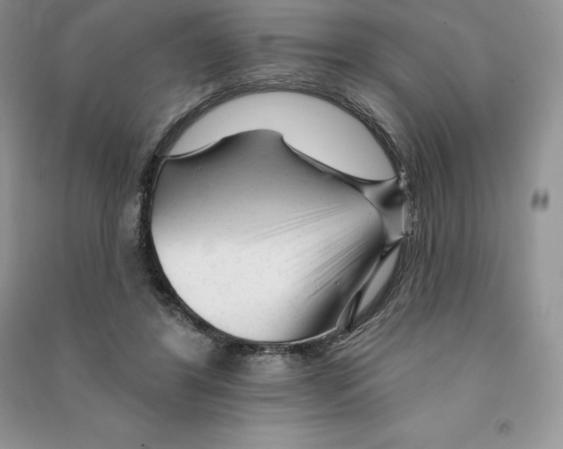 X0000090610404200708141355