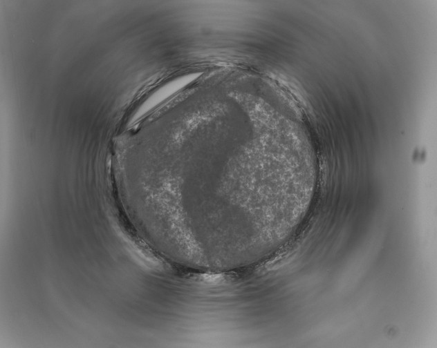 X0000090610406200708141355