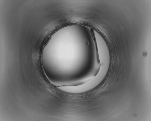 X0000090610407200708141355