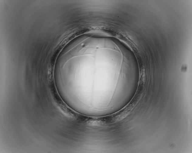 X0000090610408200708141355